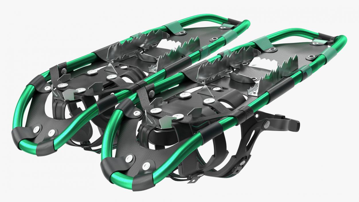 3D All Terrain Snow Shoes Green model