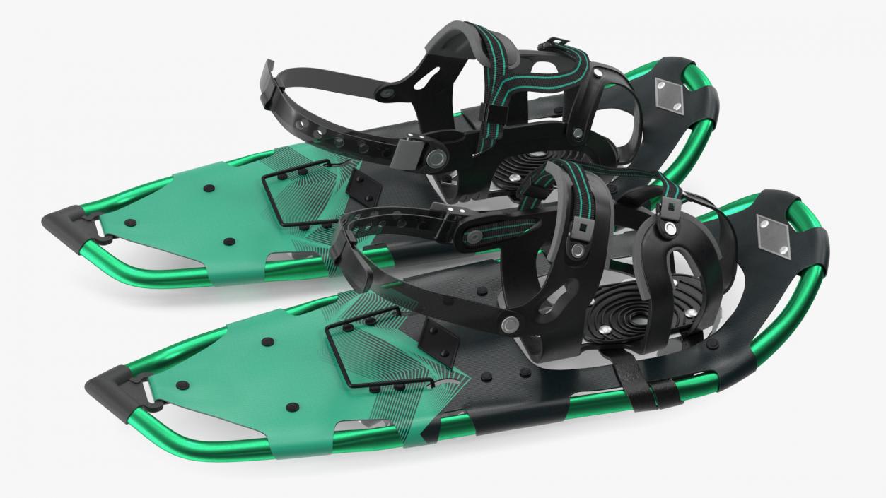 3D All Terrain Snow Shoes Green model