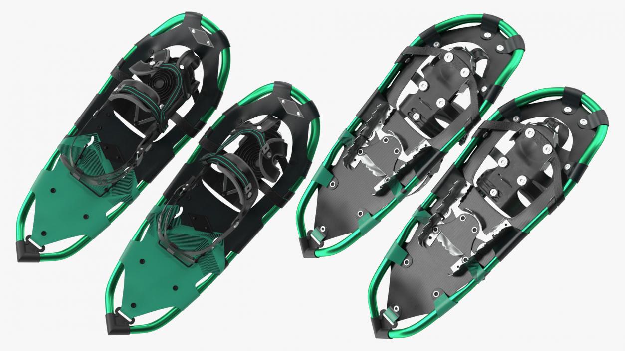 3D All Terrain Snow Shoes Green model