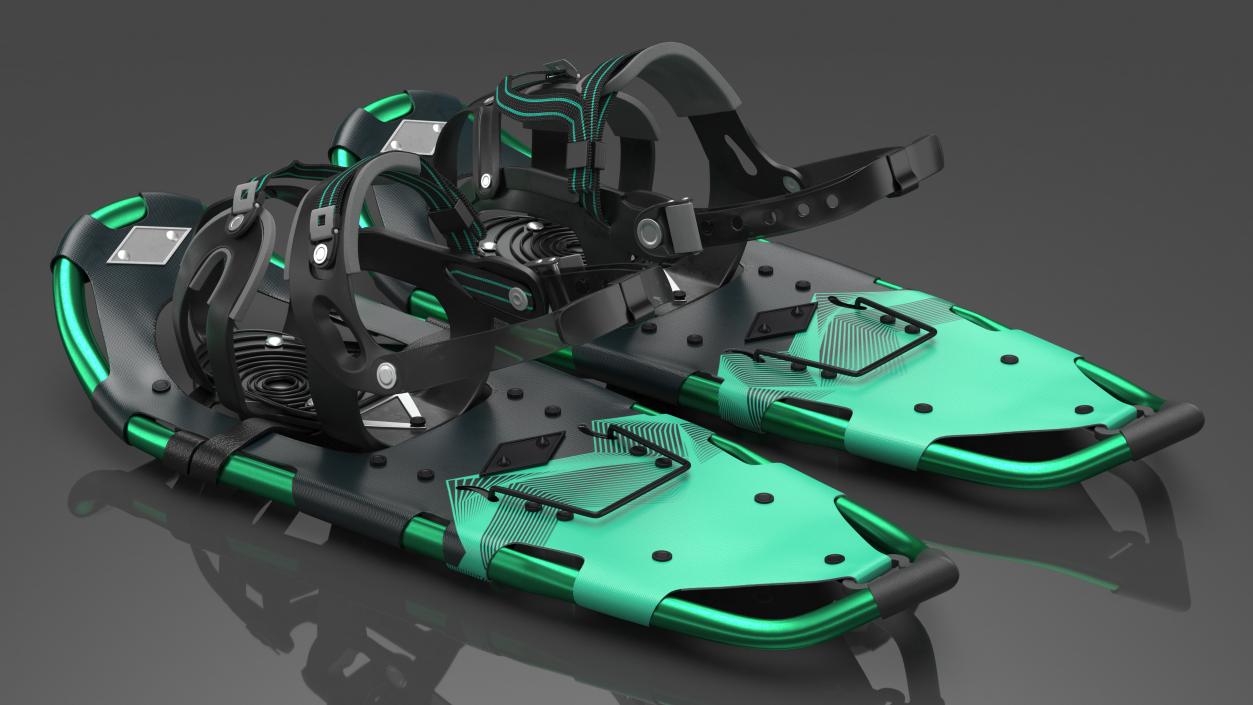 3D All Terrain Snow Shoes Green model