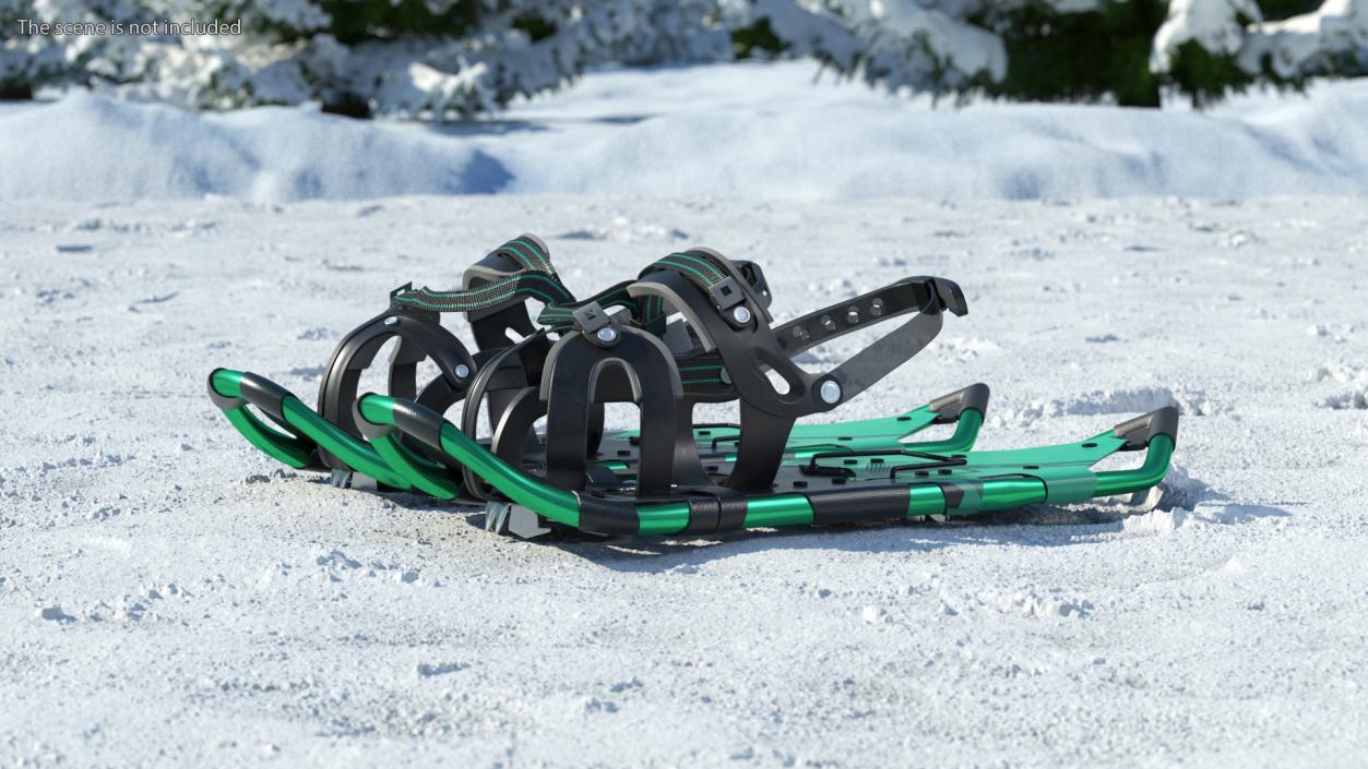 3D All Terrain Snow Shoes Green model