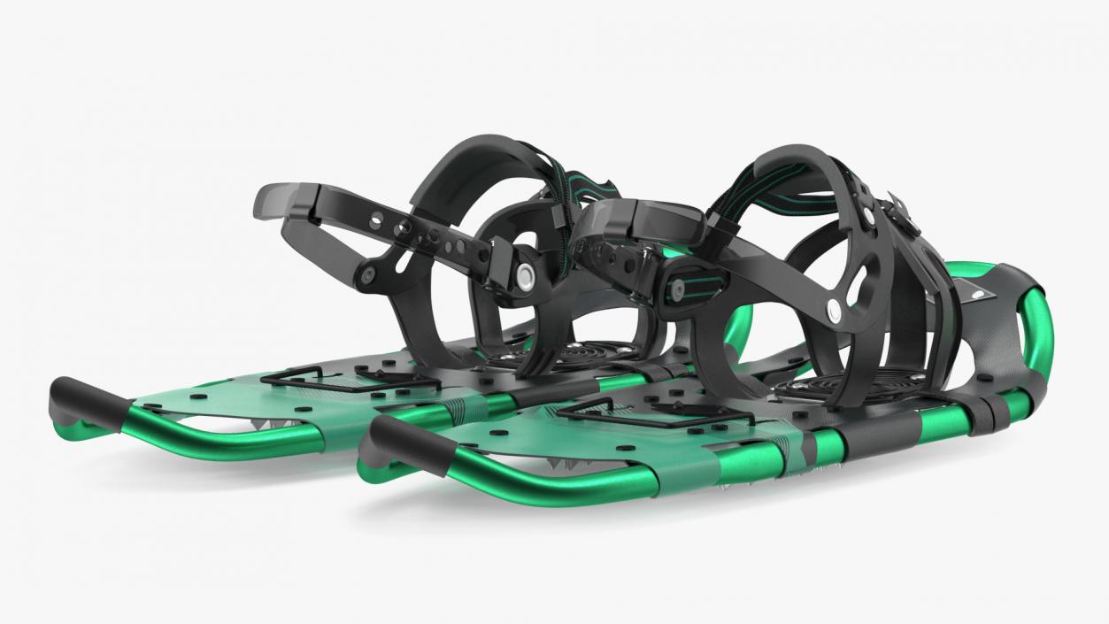 3D All Terrain Snow Shoes Green model