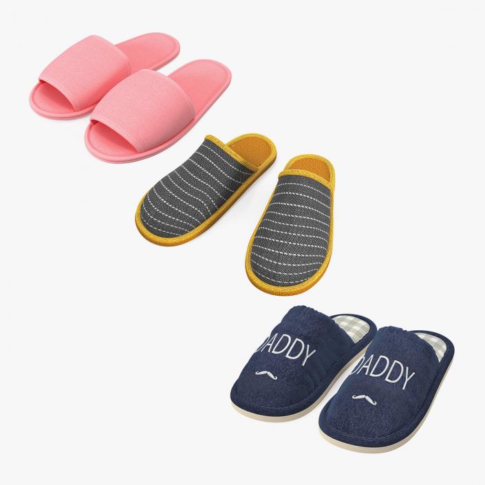 Home Slippers Collection 3D model