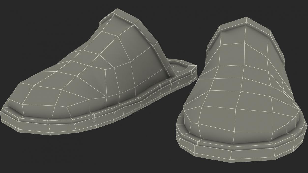 Home Slippers Collection 3D model