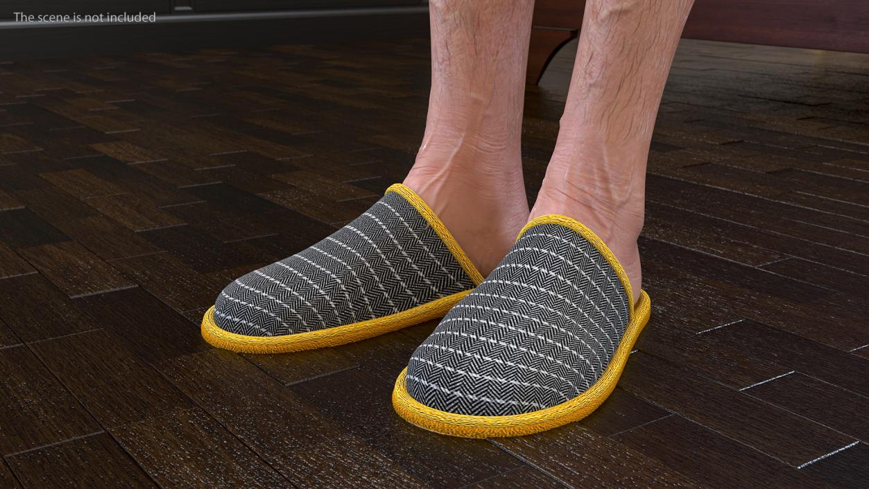 Home Slippers Collection 3D model