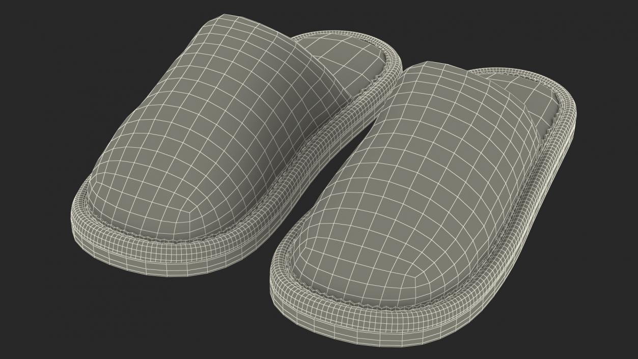 Home Slippers Collection 3D model