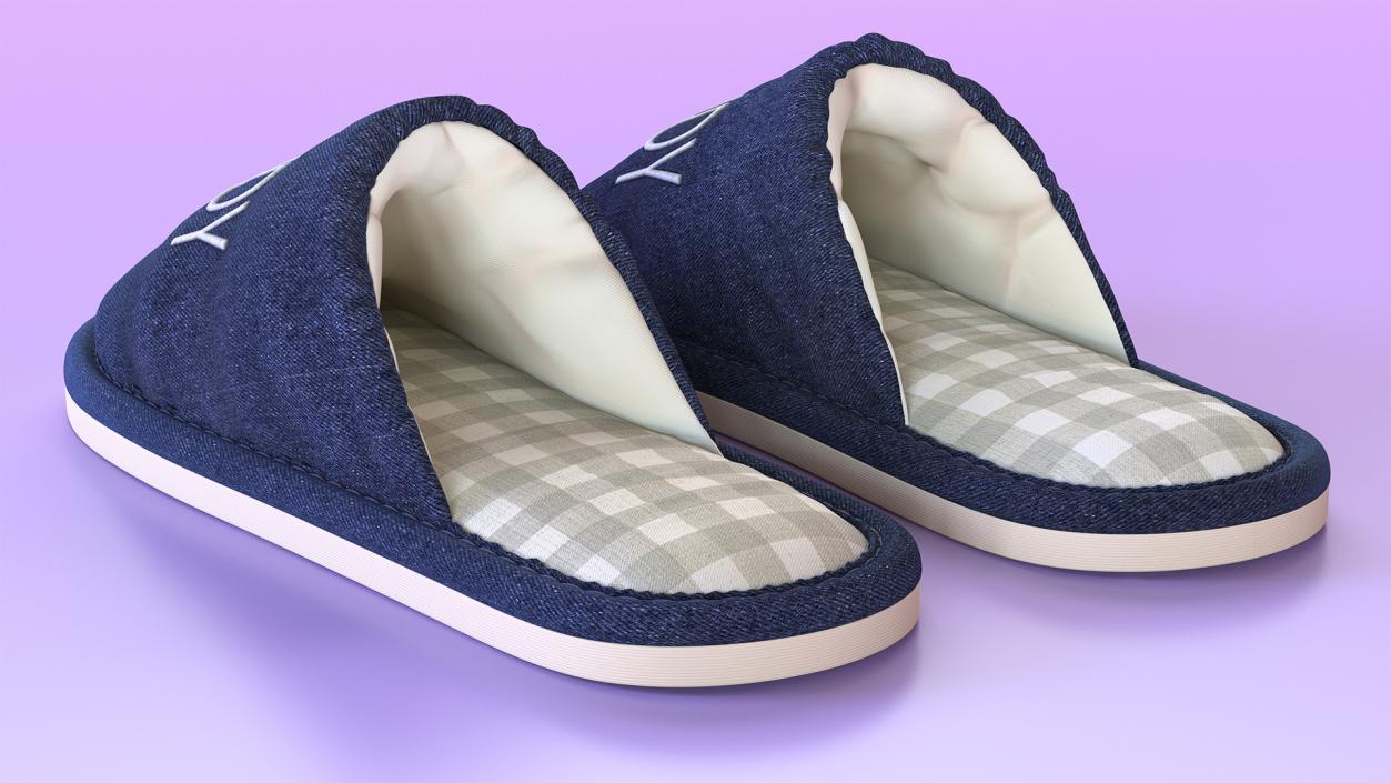 Home Slippers Collection 3D model