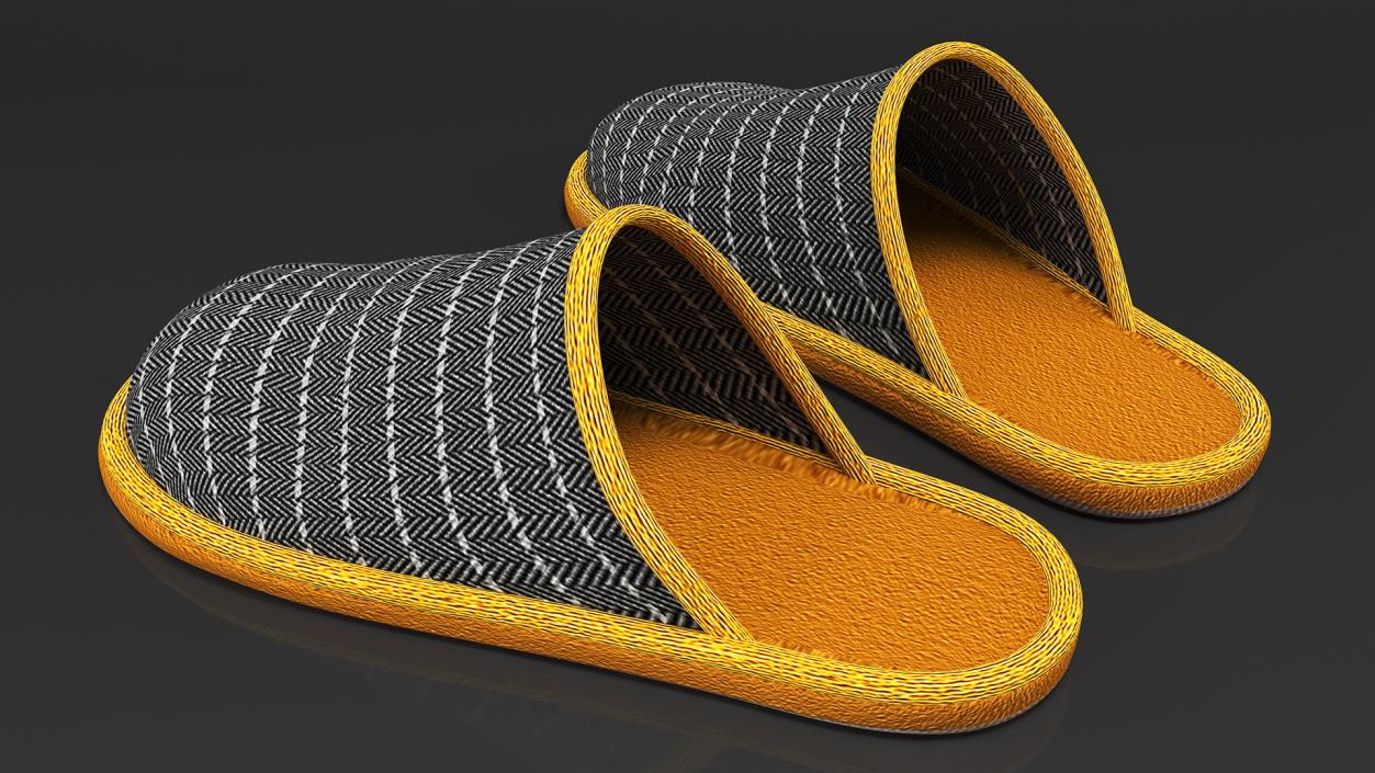 Home Slippers Collection 3D model