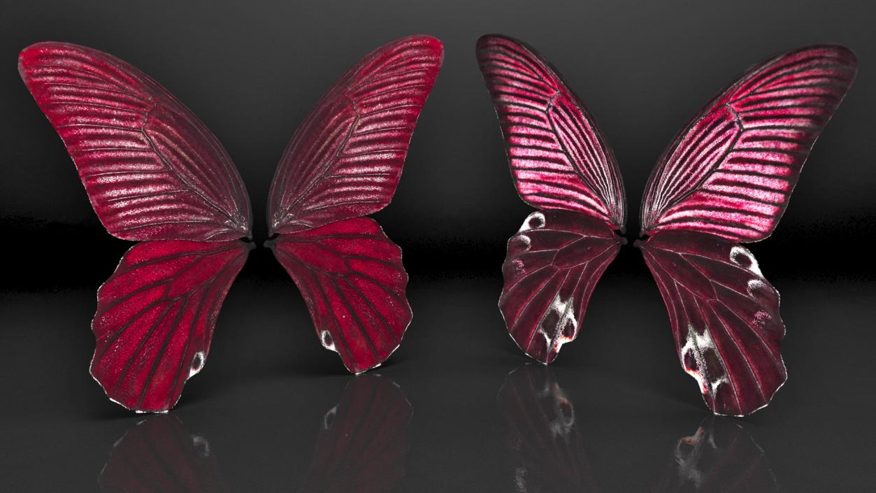 3D model Butterfly Wings