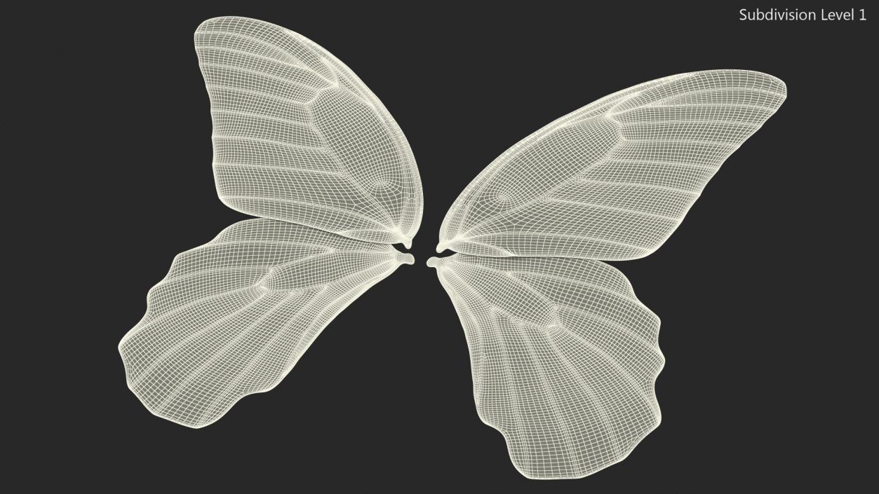 3D model Butterfly Wings