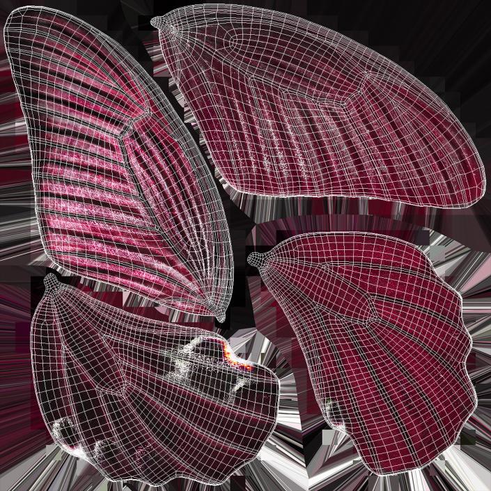 3D model Butterfly Wings