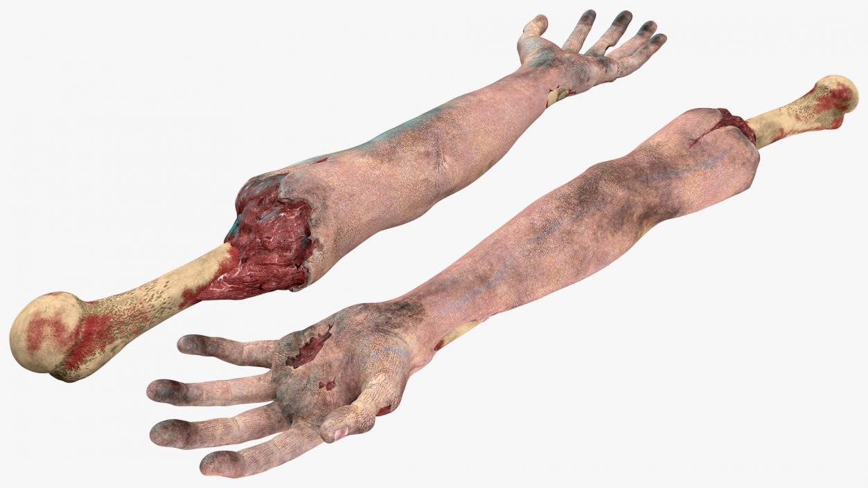 3D Zombie Hand