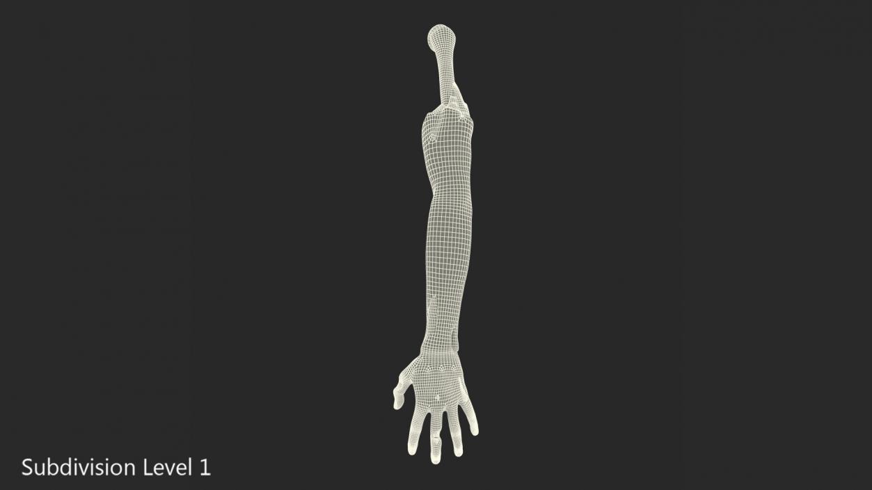 3D Zombie Hand