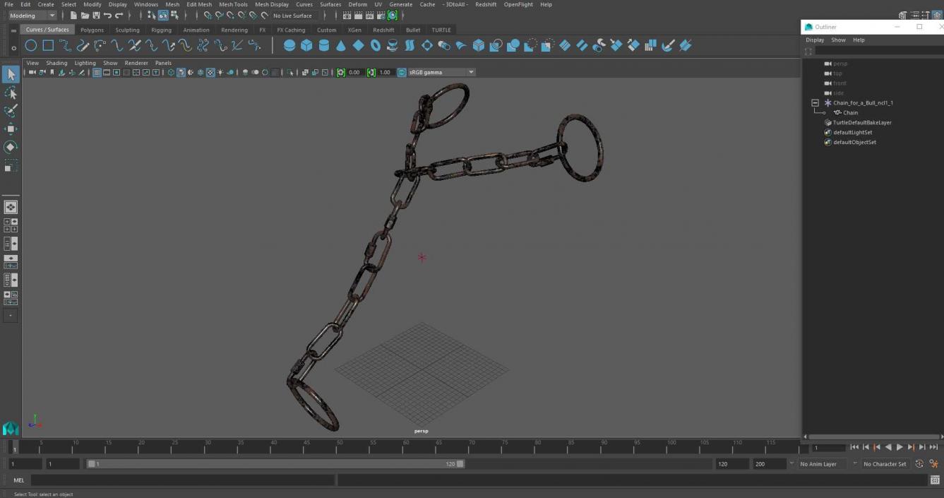 3D Chain for a Bull