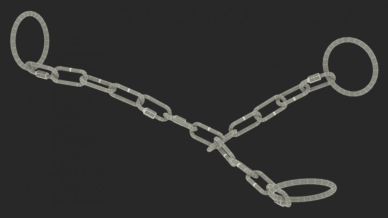 3D Chain for a Bull