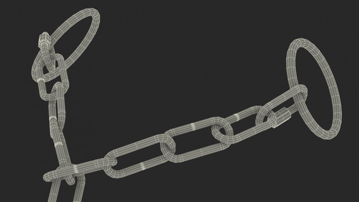 3D Chain for a Bull