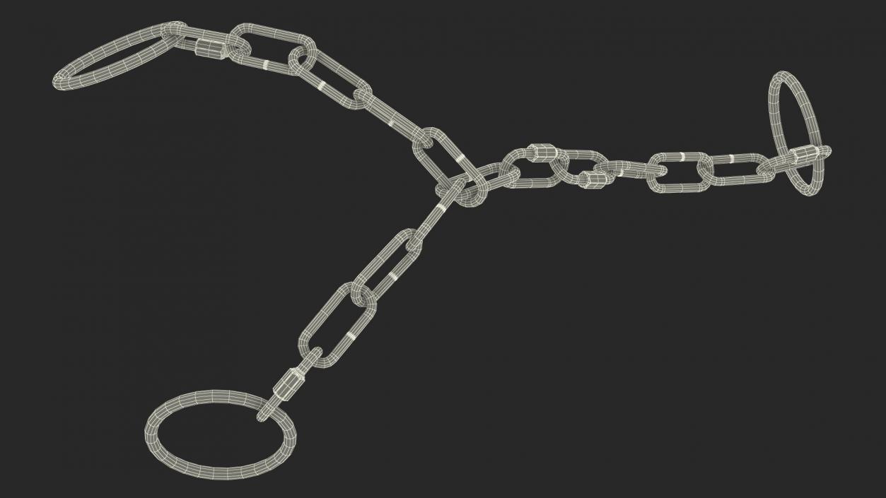 3D Chain for a Bull