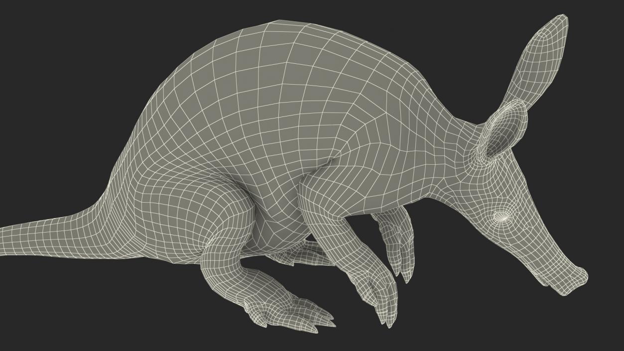 Night Mammal Aardvark Sitting Pose 3D model