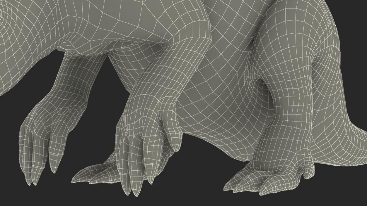 Night Mammal Aardvark Sitting Pose 3D model