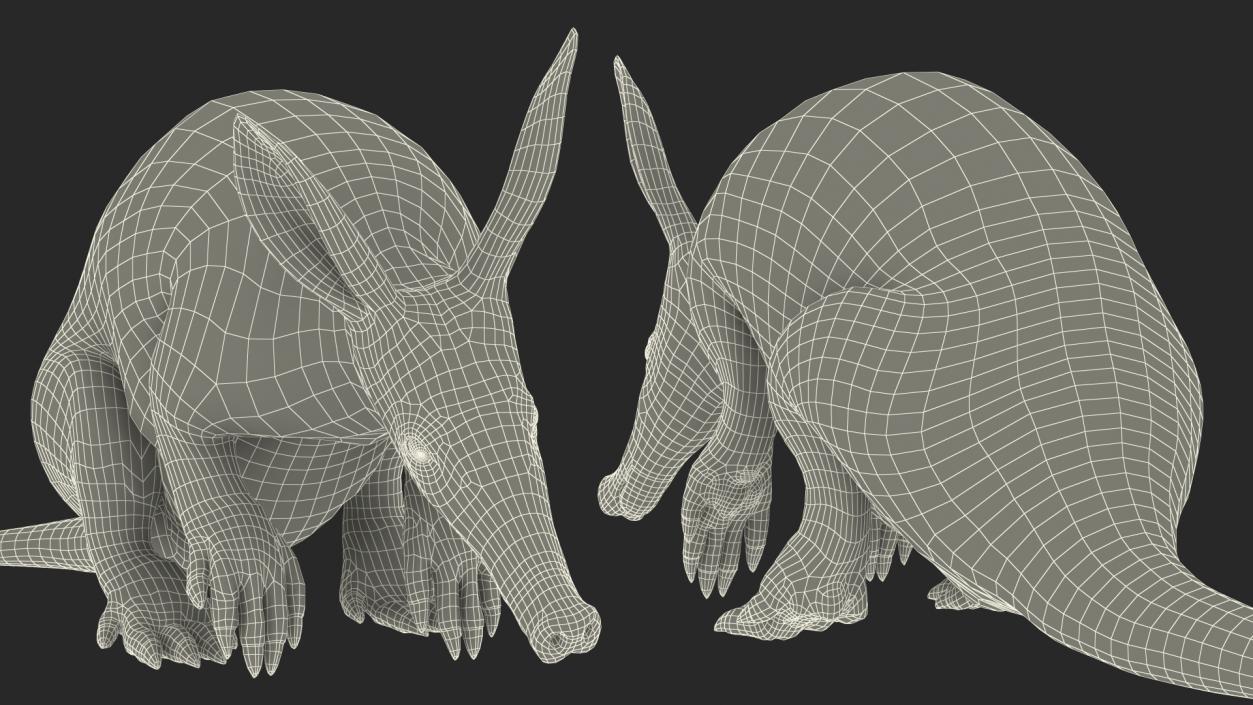 Night Mammal Aardvark Sitting Pose 3D model