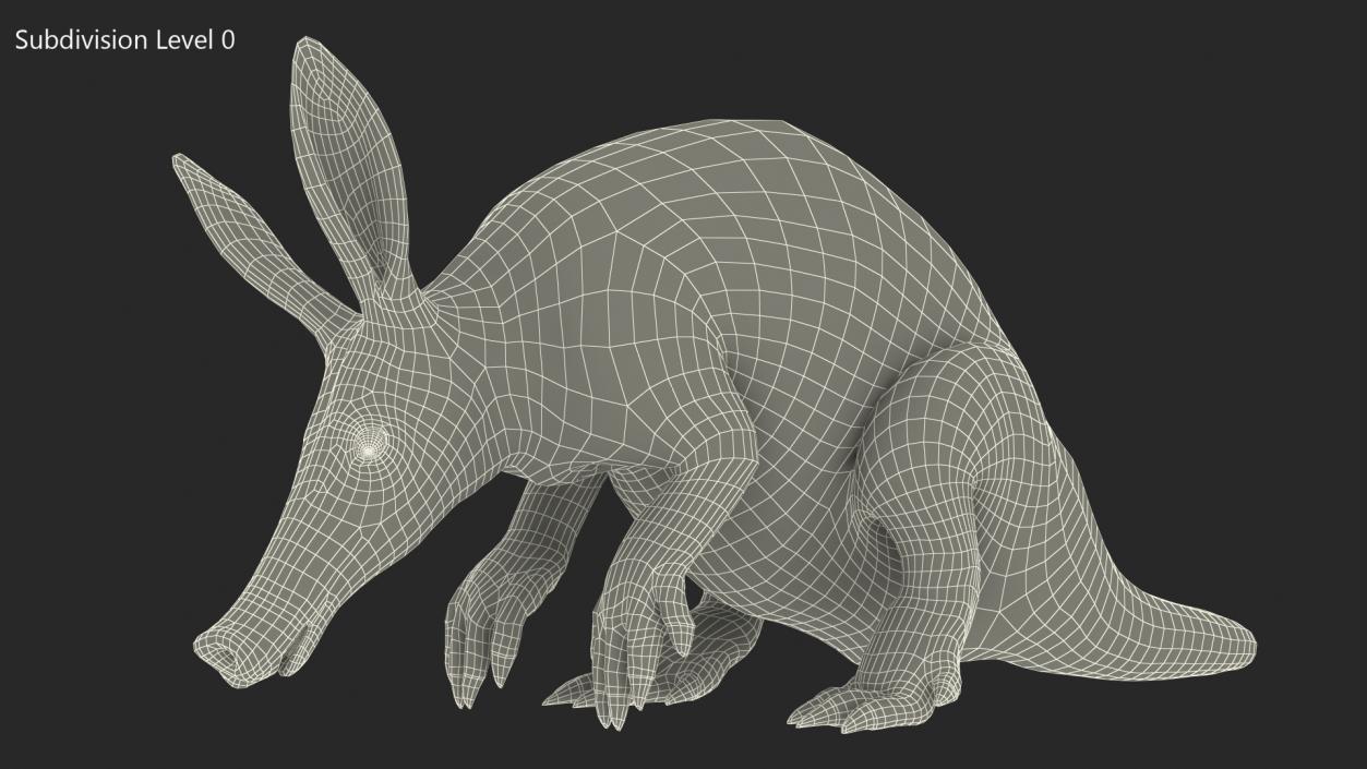 Night Mammal Aardvark Sitting Pose 3D model