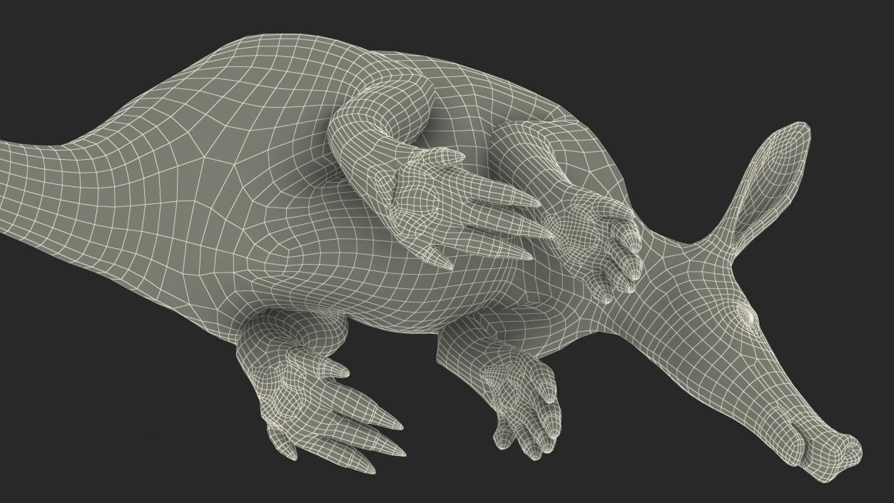 Night Mammal Aardvark Sitting Pose 3D model