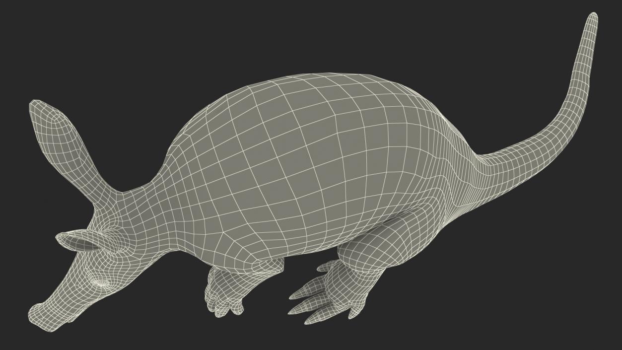 Night Mammal Aardvark Sitting Pose 3D model