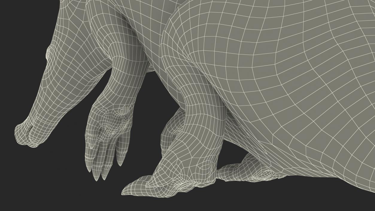 Night Mammal Aardvark Sitting Pose 3D model