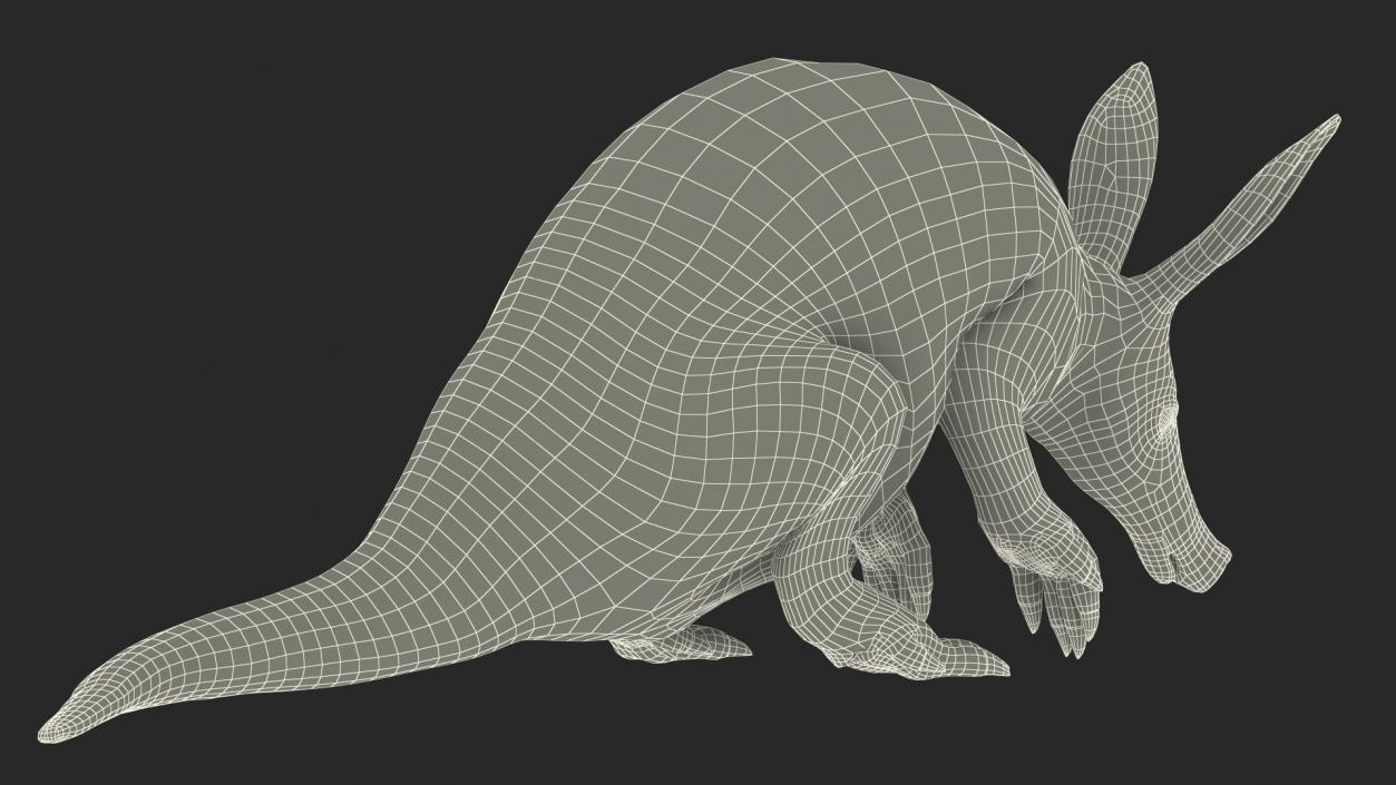 Night Mammal Aardvark Sitting Pose 3D model