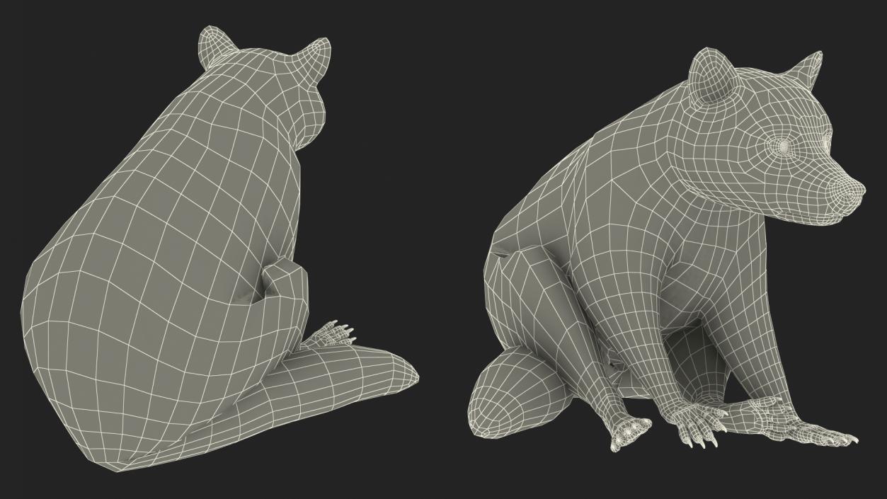 Raccoon Sitting Pose Fur 3D model