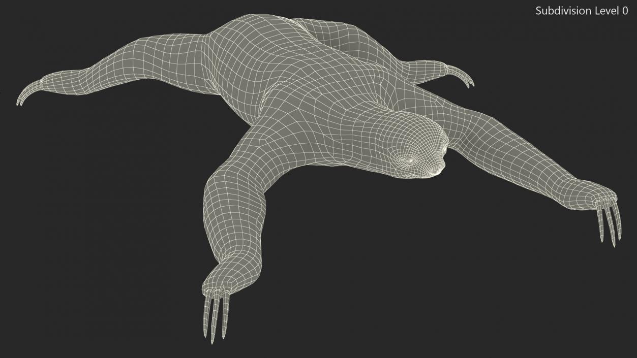 3D Sloth Crawls Fur