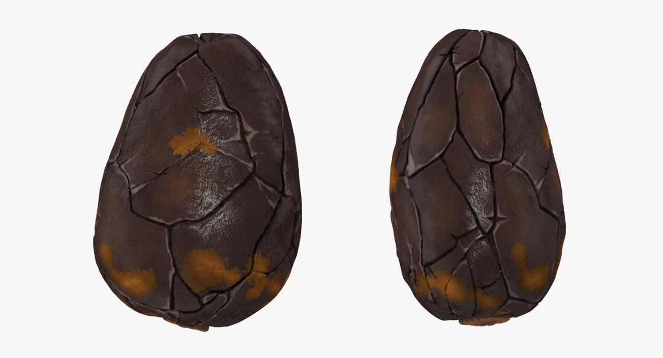 3D Peeled Roasted Cacao Cocoa Bean