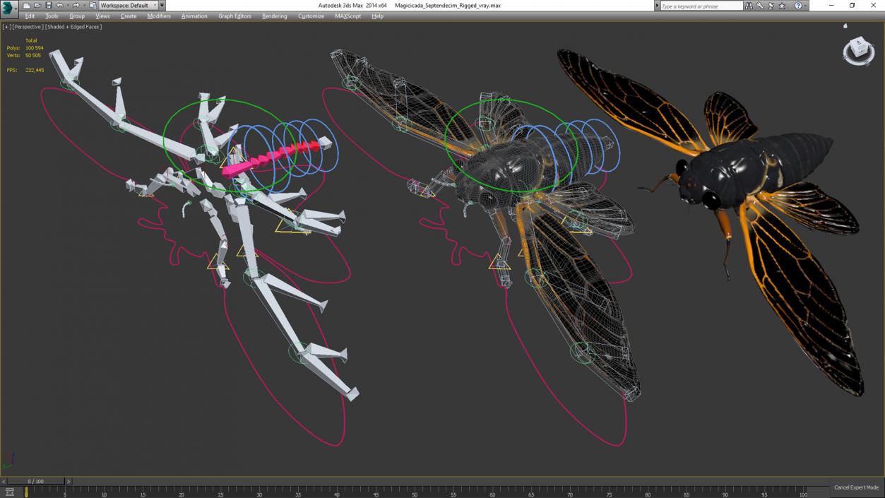 3D Magicicada Septendecim Rigged for Maya model