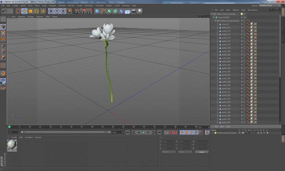 3D model White Freesia Flower