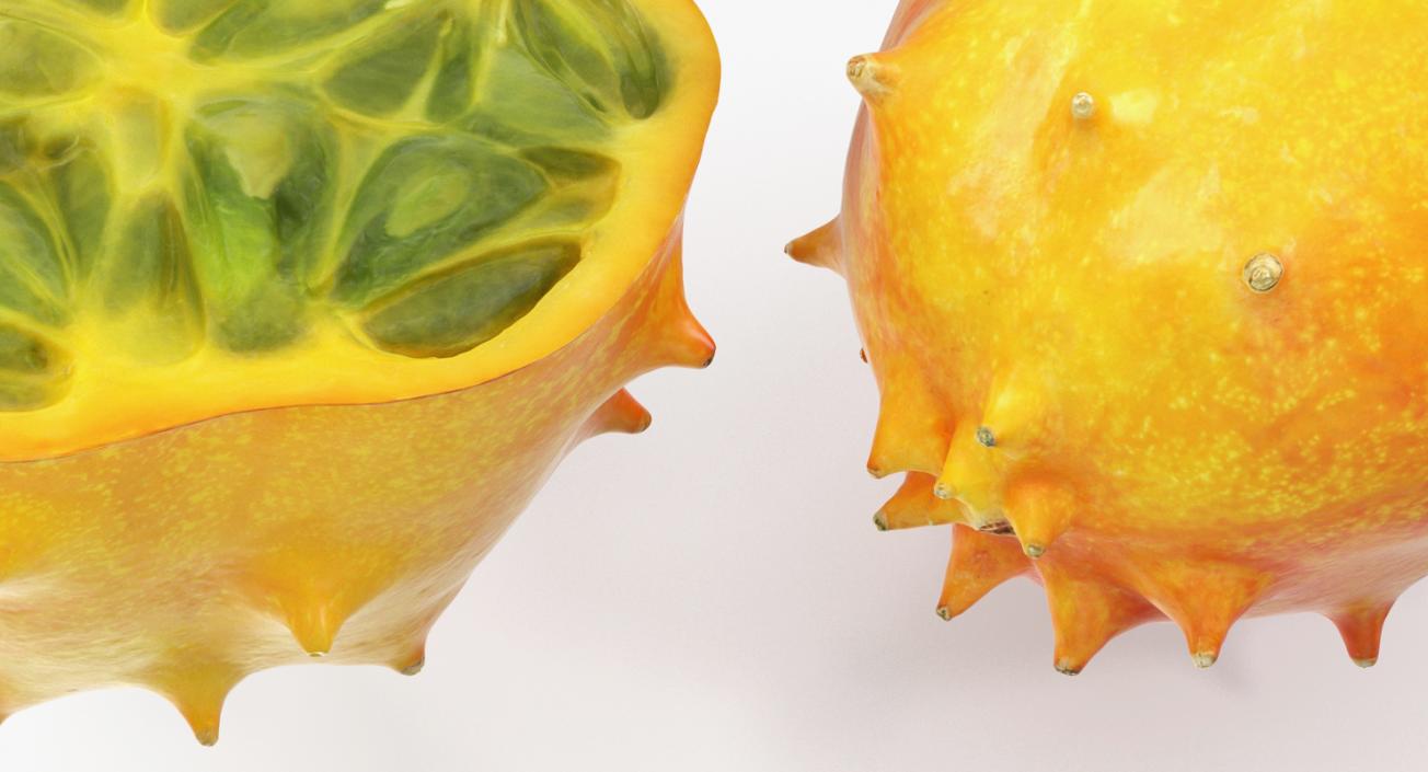 Horned Melon Kiwano Half 3D model