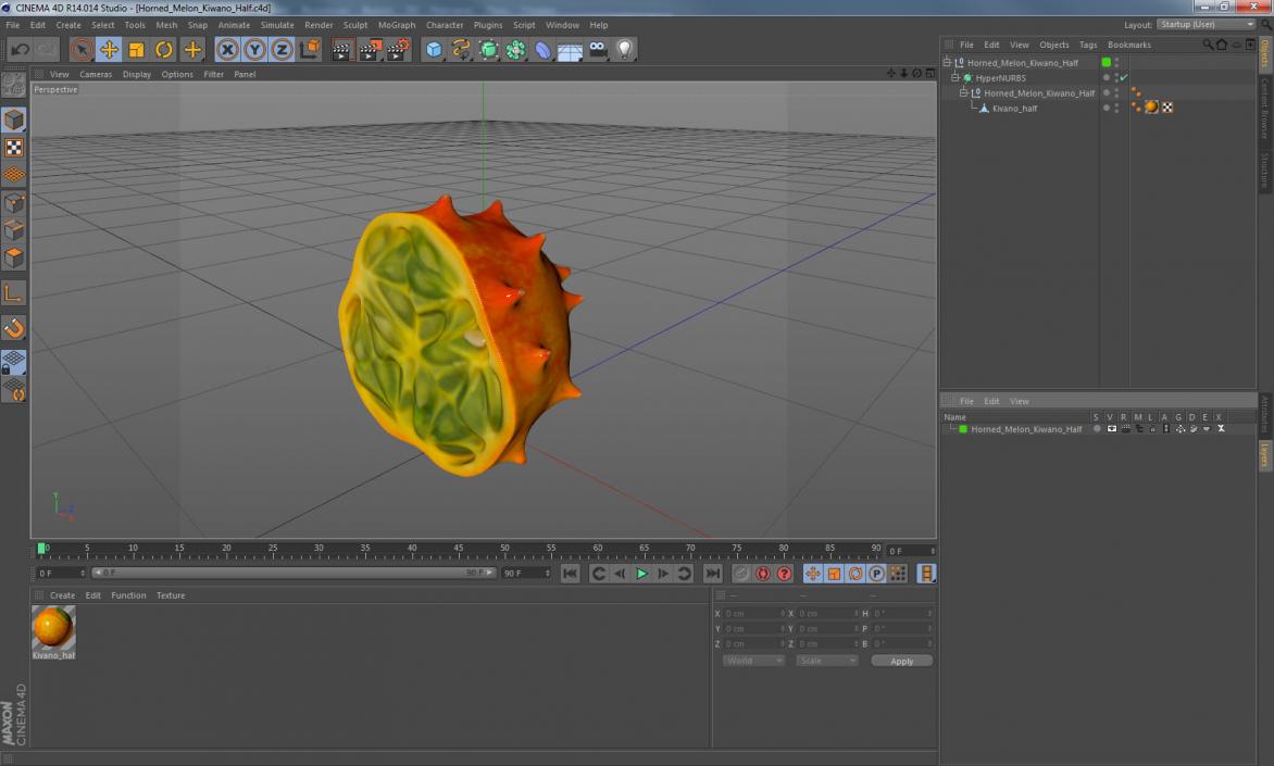 Horned Melon Kiwano Half 3D model