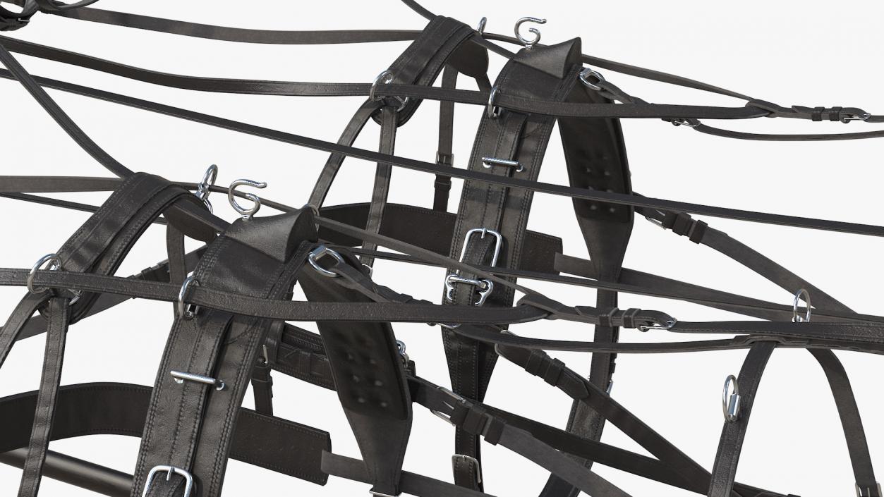 3D Team of Four Leather Harness model