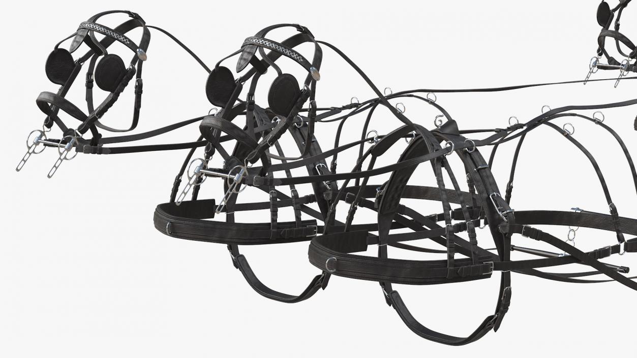 3D Team of Four Leather Harness model