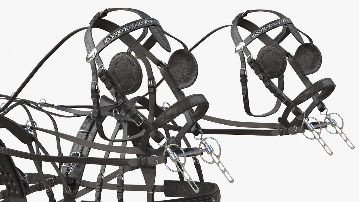 3D Team of Four Leather Harness model