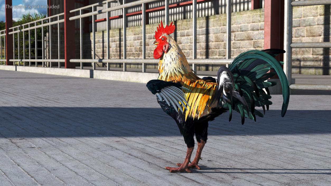 3D model Rainbow Rooster Cock