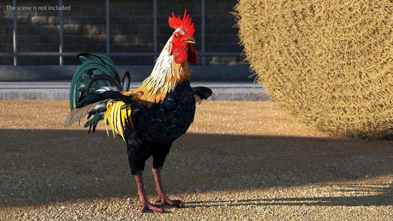 3D model Rainbow Rooster Cock