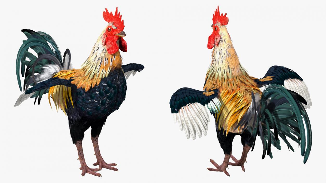 3D model Rainbow Rooster Cock