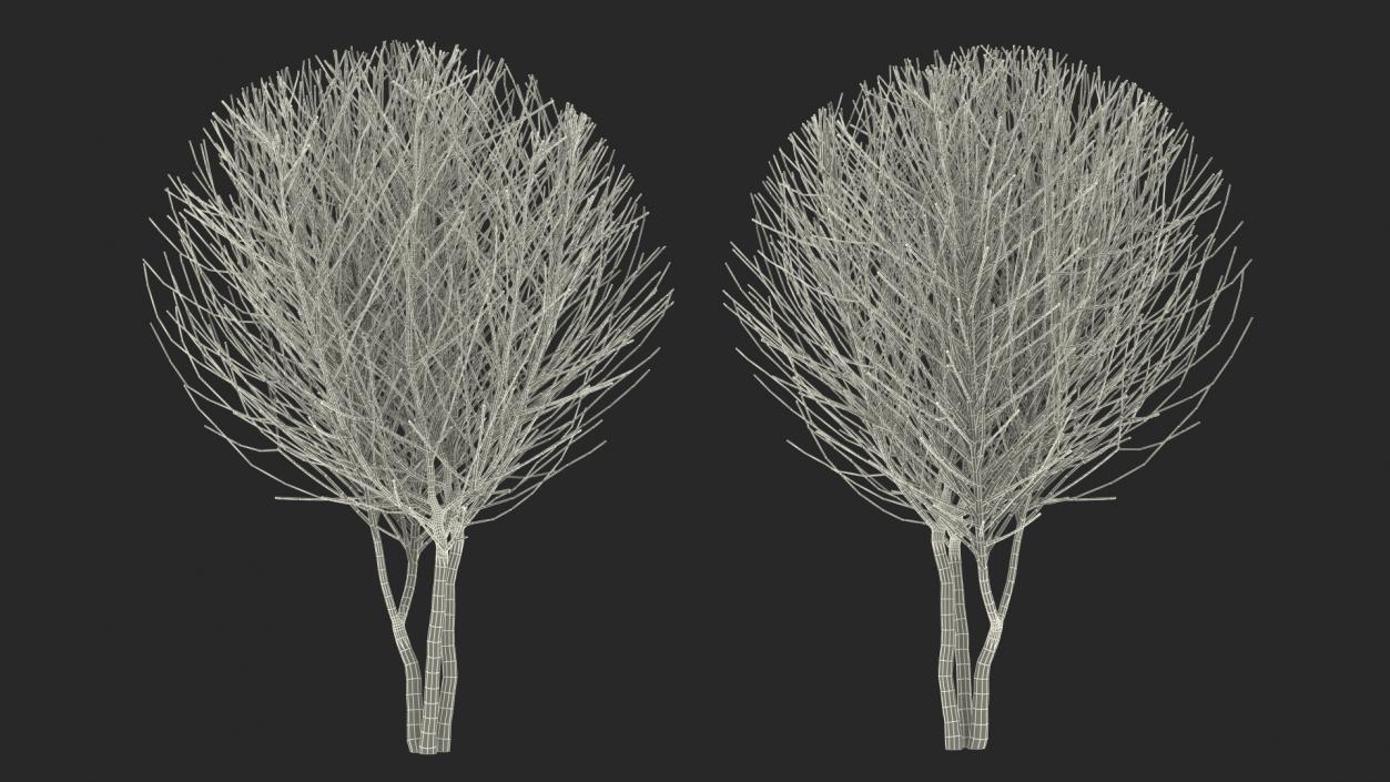 3D model Bare Shrub