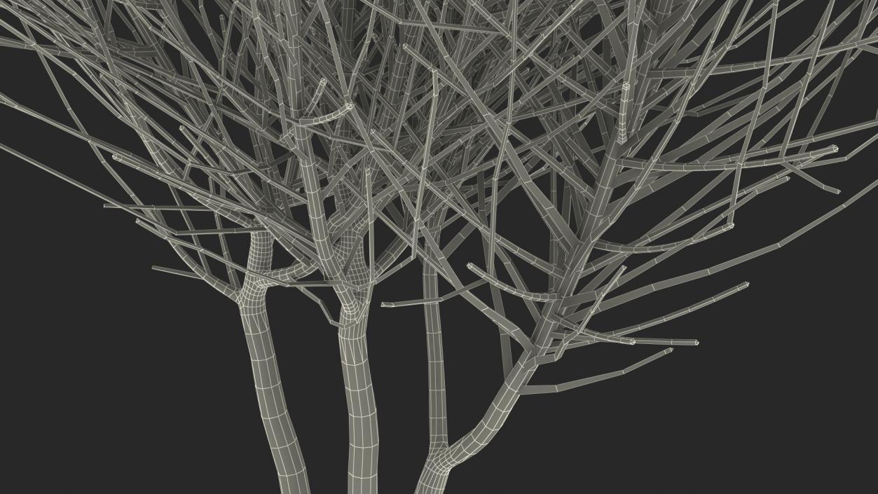 3D model Bare Shrub