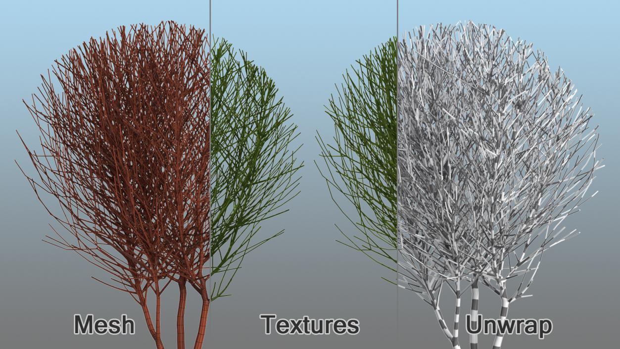 3D model Bare Shrub