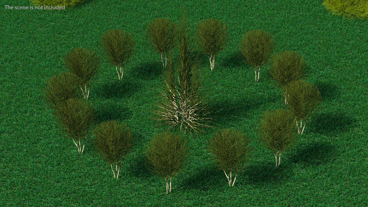 3D model Bare Shrub