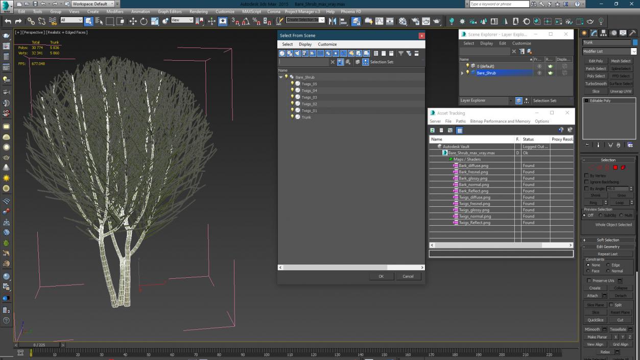 3D model Bare Shrub