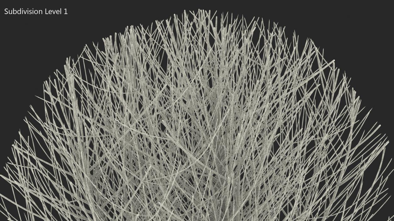 3D model Bare Shrub