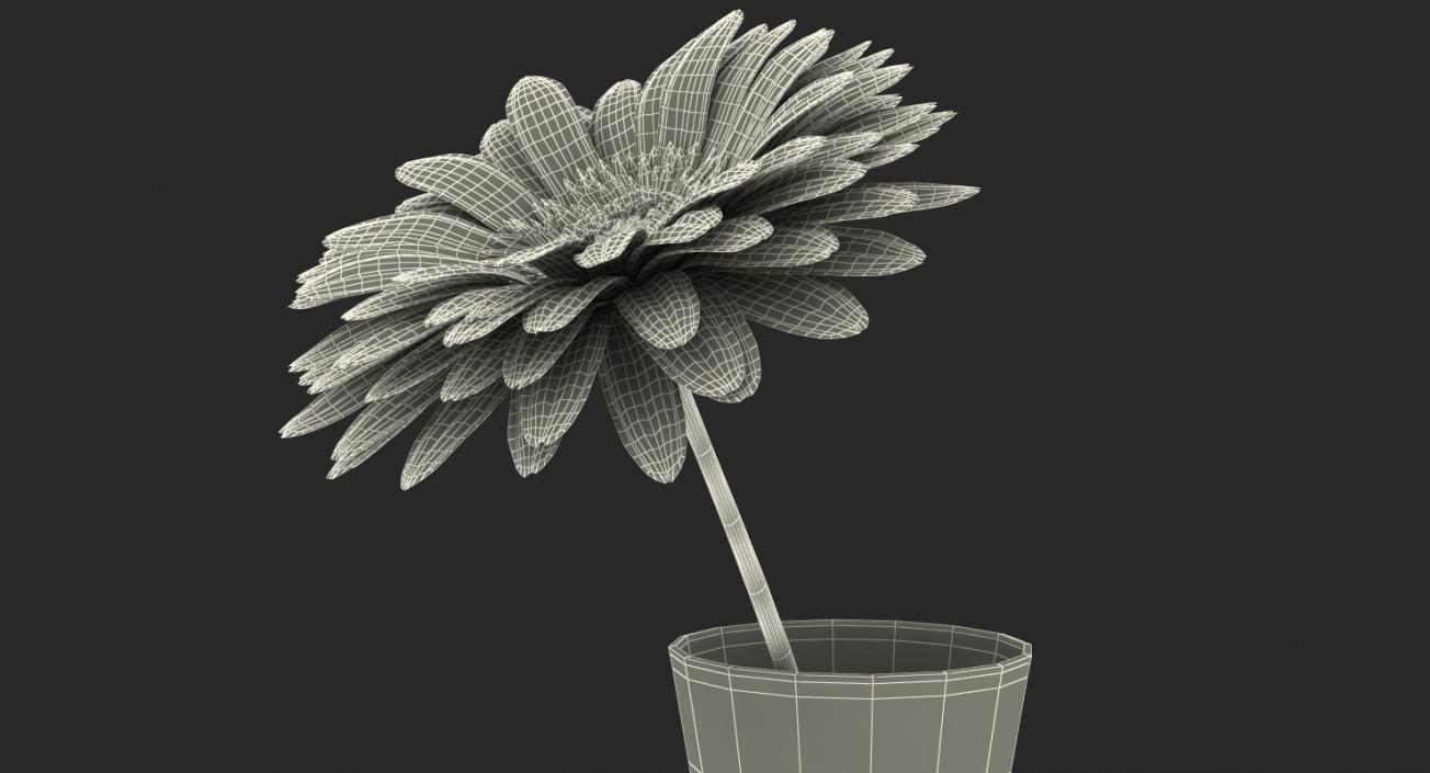 Yellow Gerbera Flower In Vase 3D model