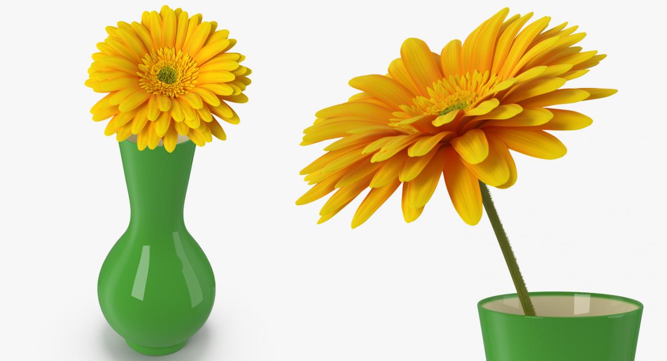 Yellow Gerbera Flower In Vase 3D model